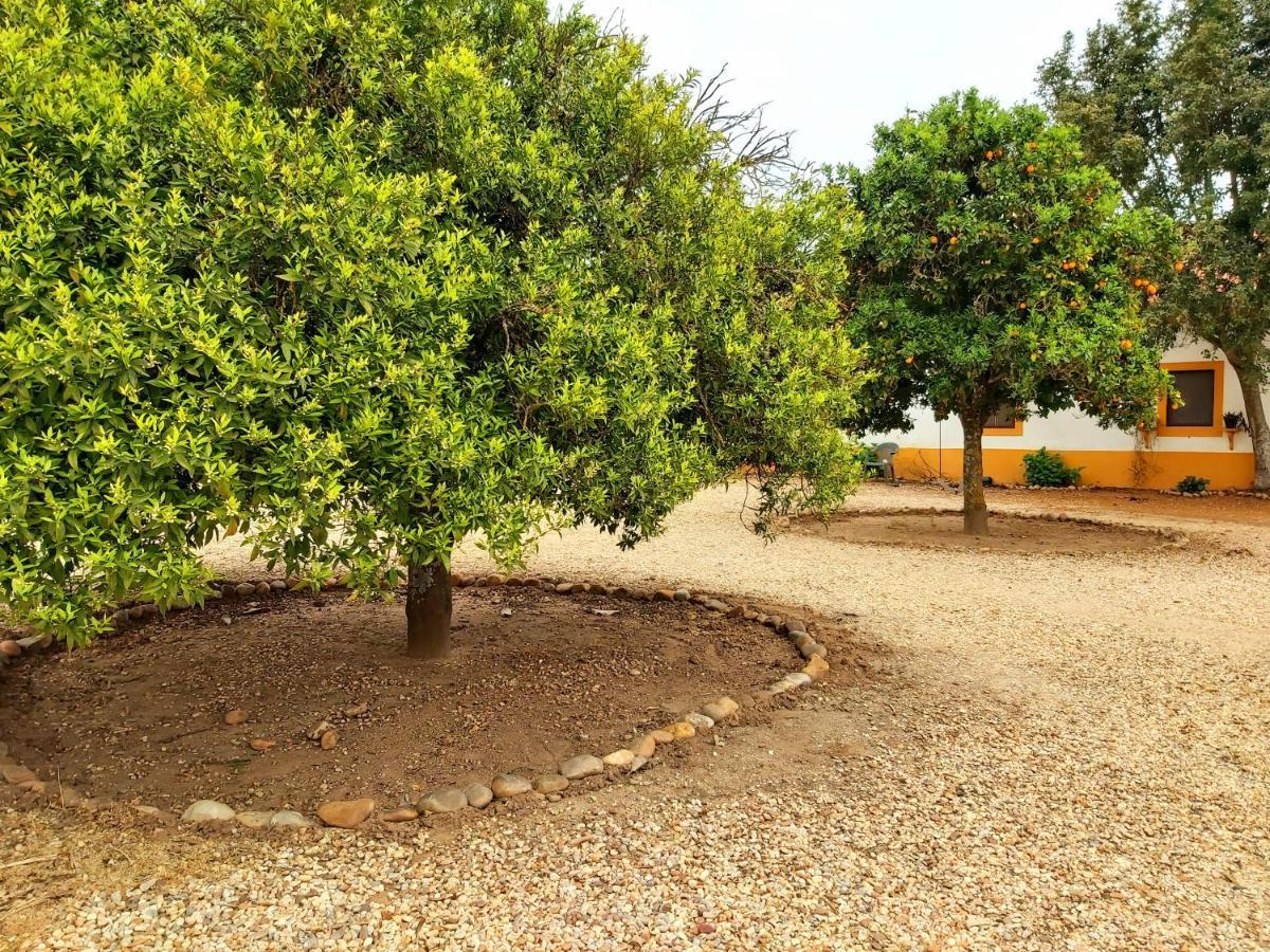 Casas Herdade Do Convento Da Serra Almeirim Exteriör bild
