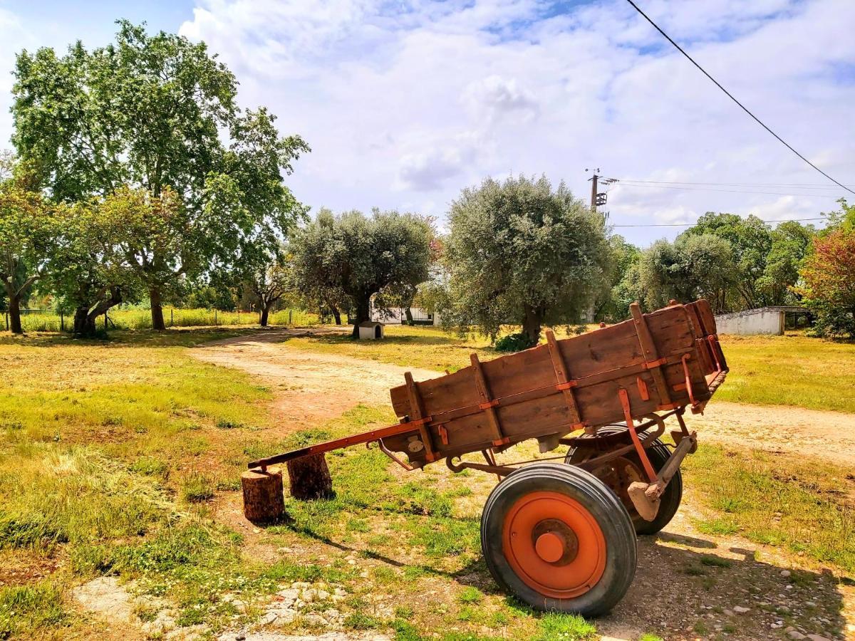 Casas Herdade Do Convento Da Serra Almeirim Exteriör bild