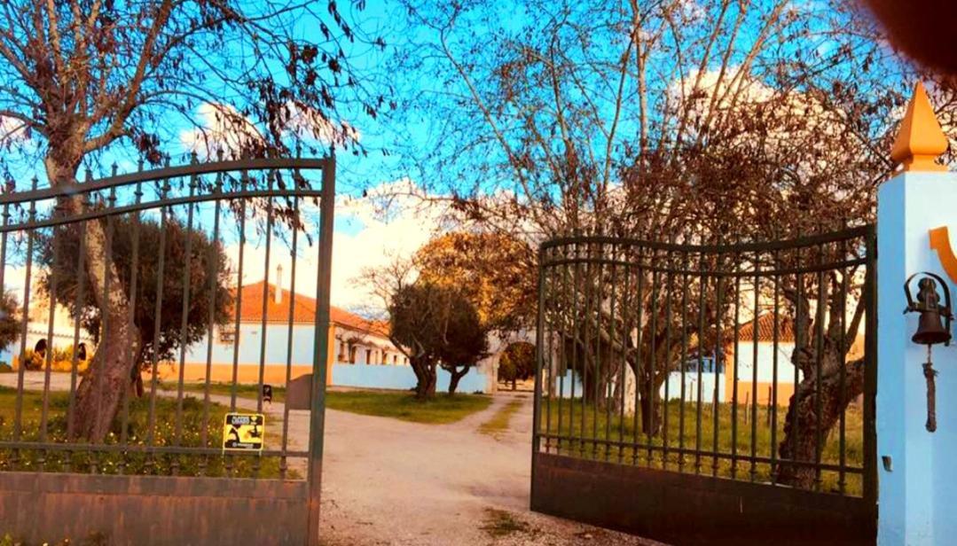 Casas Herdade Do Convento Da Serra Almeirim Exteriör bild