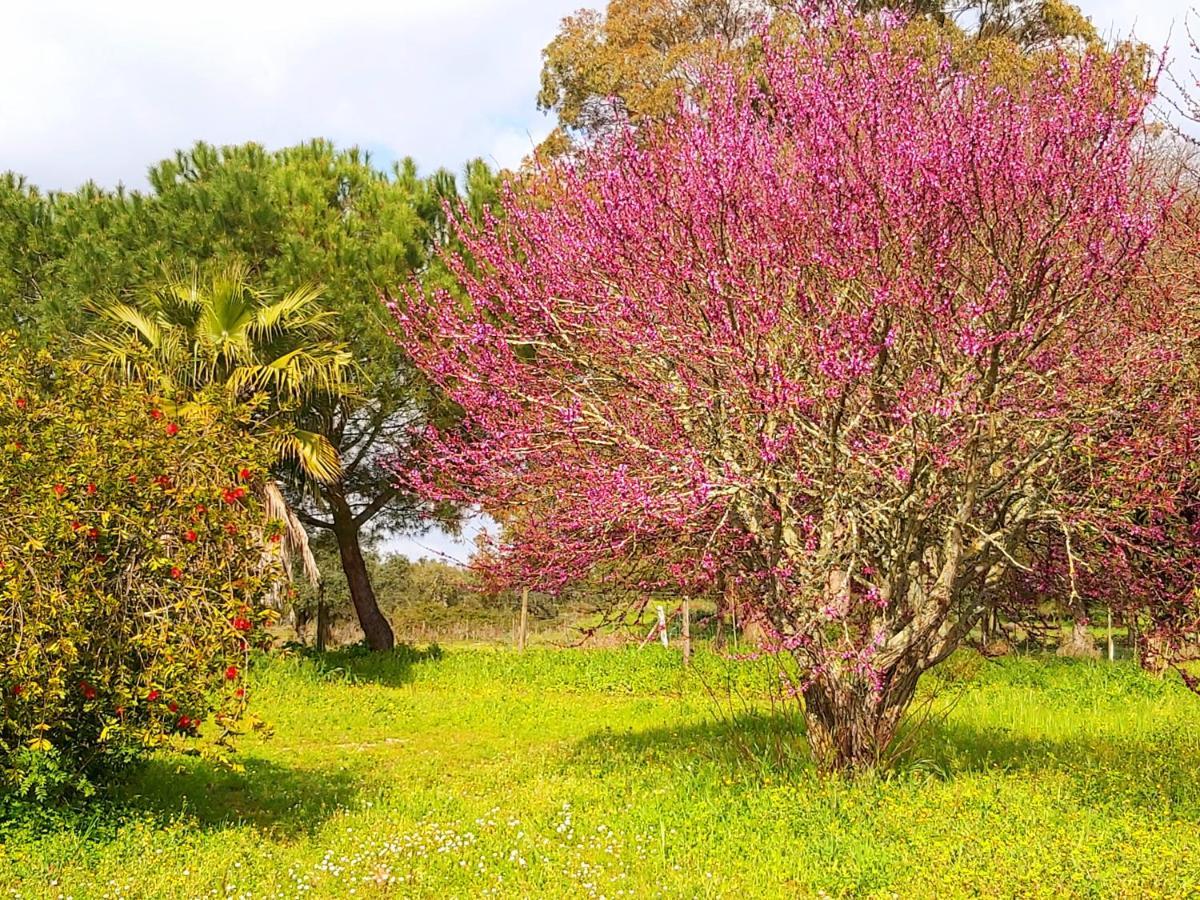 Casas Herdade Do Convento Da Serra Almeirim Exteriör bild