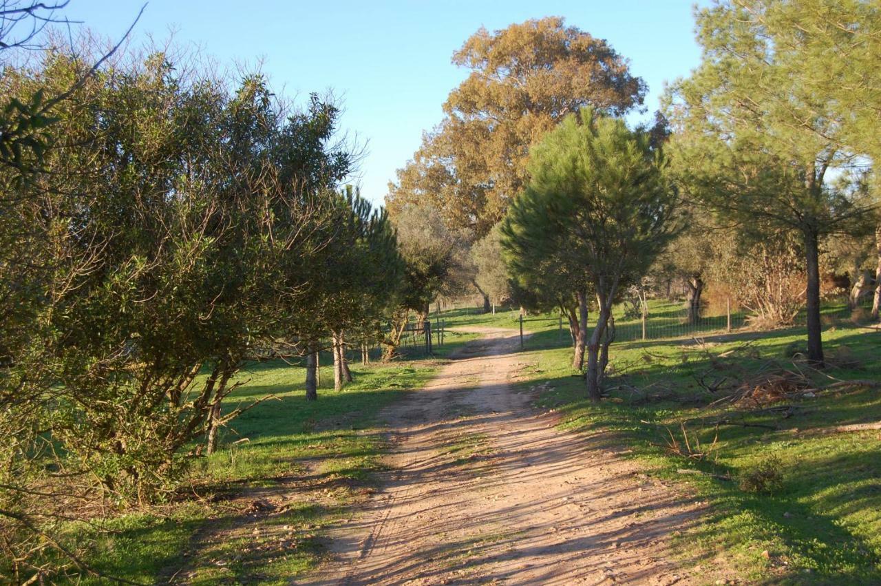 Casas Herdade Do Convento Da Serra Almeirim Exteriör bild
