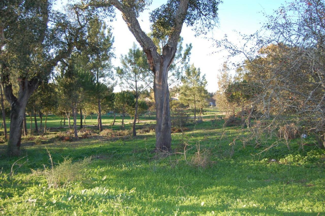 Casas Herdade Do Convento Da Serra Almeirim Exteriör bild